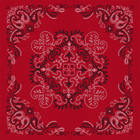 Delicate Paisley Pattern Bandana Pillow Pair