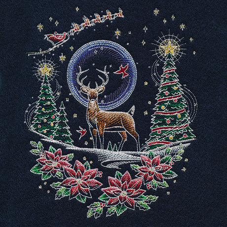 Santa's Flight Through A Midnight Christmas Garden