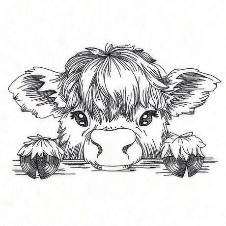 Peeking Highland Cow Sketch