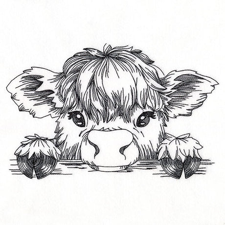 Peeking Highland Cow Sketch