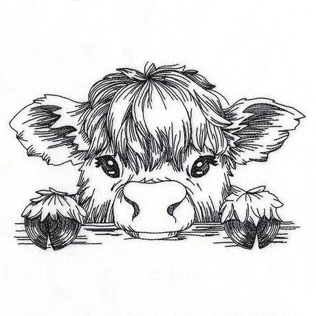 Peeking Highland Cow Sketch