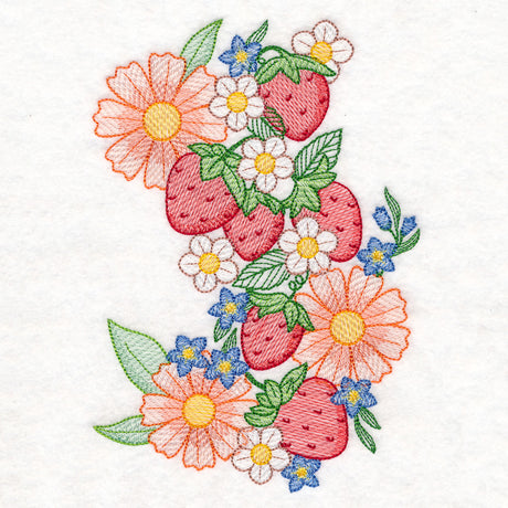 Summer Fruit Garden - Strawberries