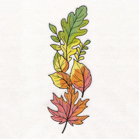 Color Theory Harvest Leaves Border