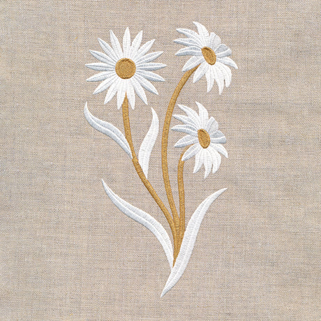 Golden Harvest Daisy