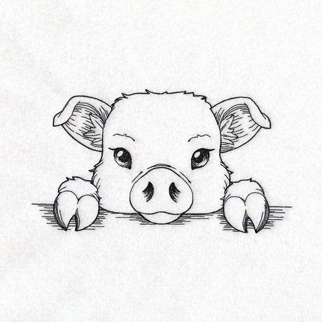 Peeking Pig Sketch
